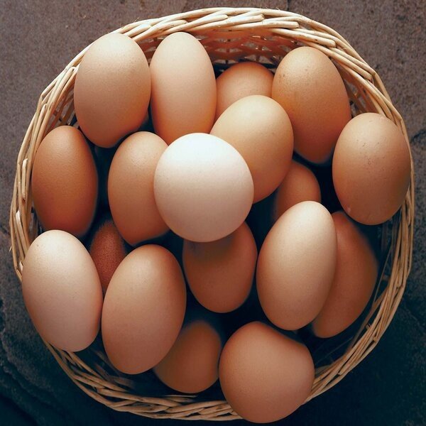 Eggs -(Dim) 12pcs